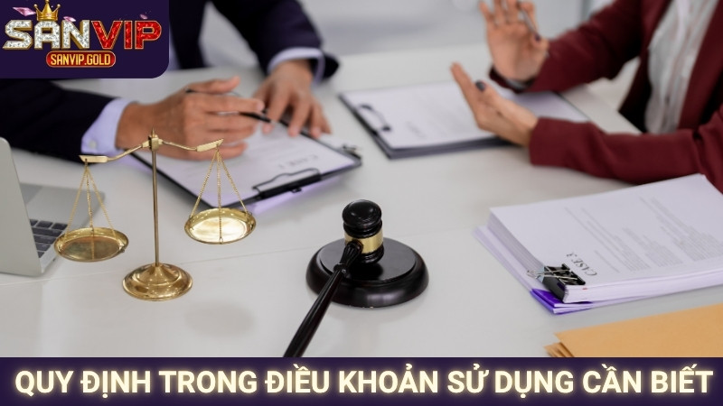 Điều Khoản Sử Dụng SANVIP 2 Quy định trong điều khoản sử dụng bạn cần biết